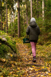 Valokuva: Tyttö metsässä